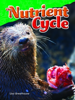 cover image of The Nutrient Cycle